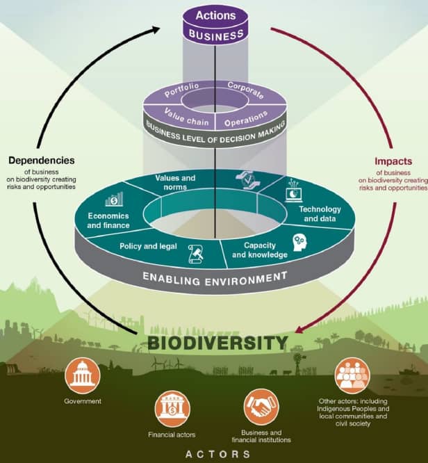 Biodiversiteitscollage acties bedrijven biodiversiteit IPBES