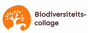 Workshop Biodiversiteitscollage