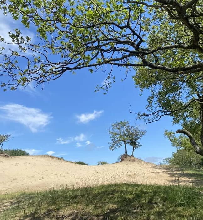 Deep Time Walk Amsterdamse Waterleidingsduinen wandeling Nederland